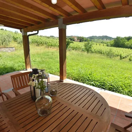 Il Sogno Tra I Vigneti *