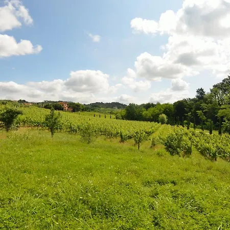 Il Sogno Tra I Vigneti Semesterbostad