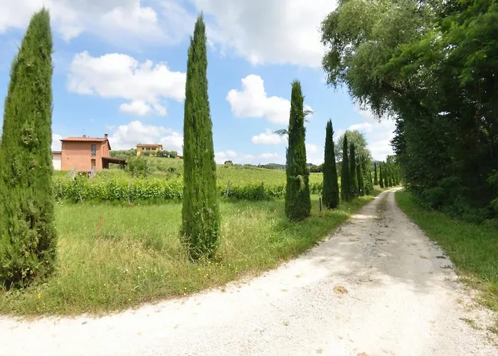 Il Sogno Tra I Vigneti *