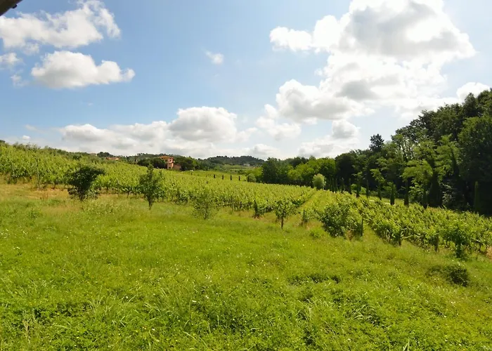 Il Sogno Tra I Vigneti Сasa de vacaciones